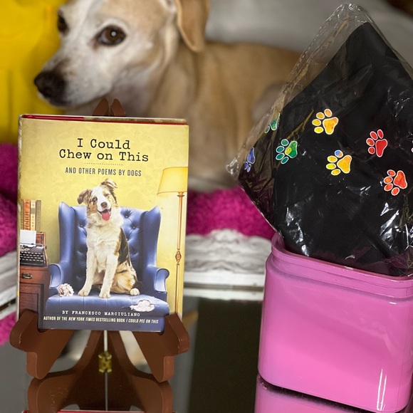 NWT Colors of the Rainbow Paw Prints Graphic T-Shirts - Picture 5 of 6